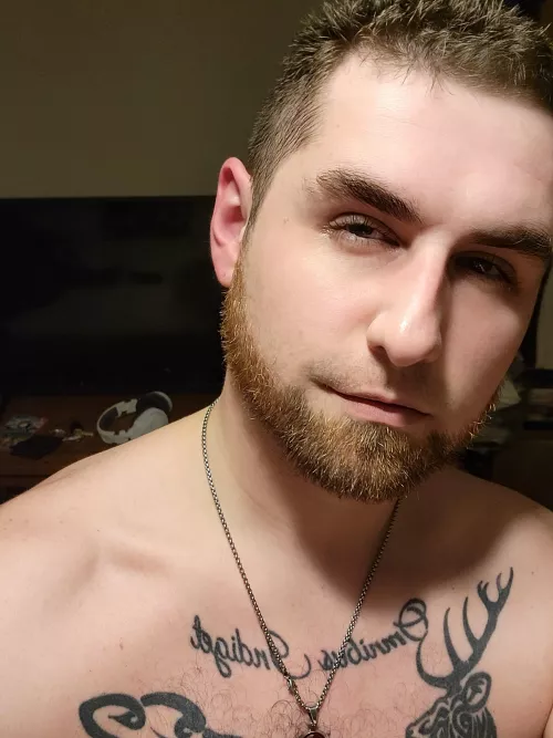 Long overdue beard trim.