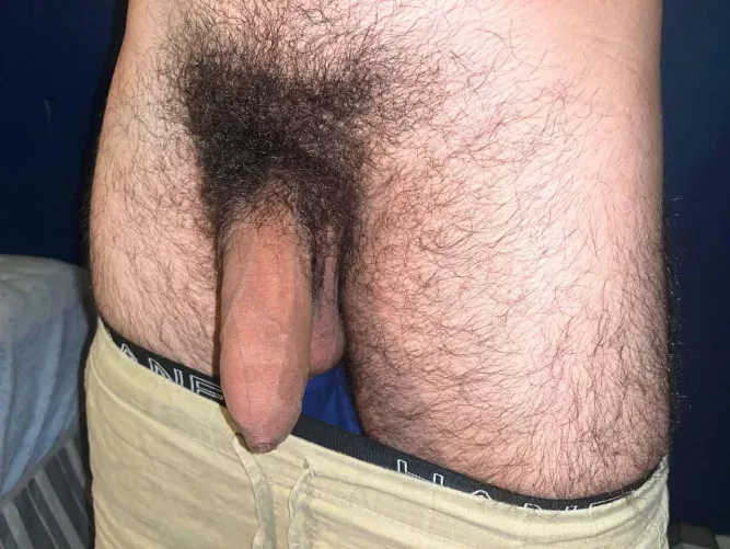 Msg me what you would do