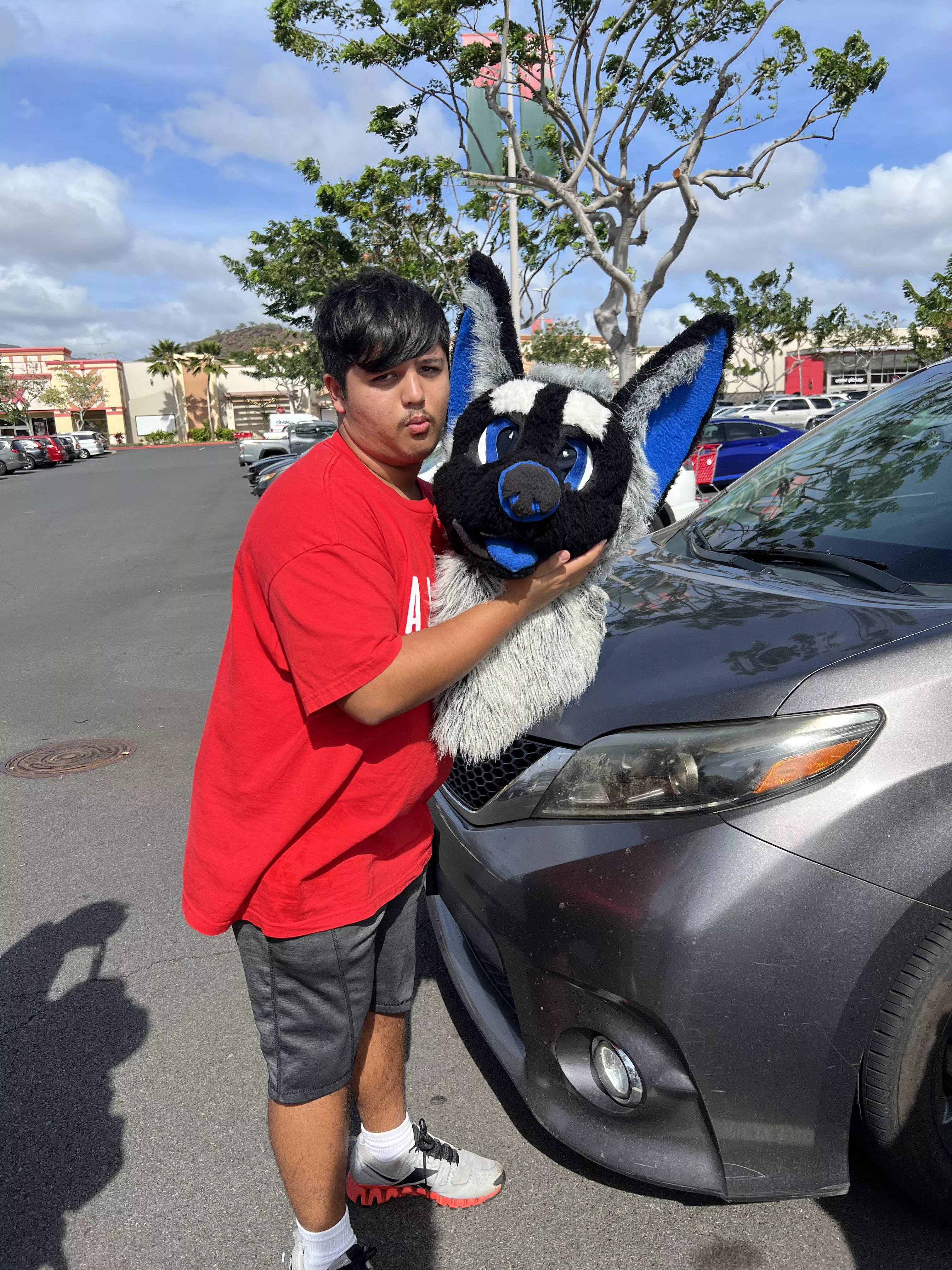 My friend got me this for my birthday!