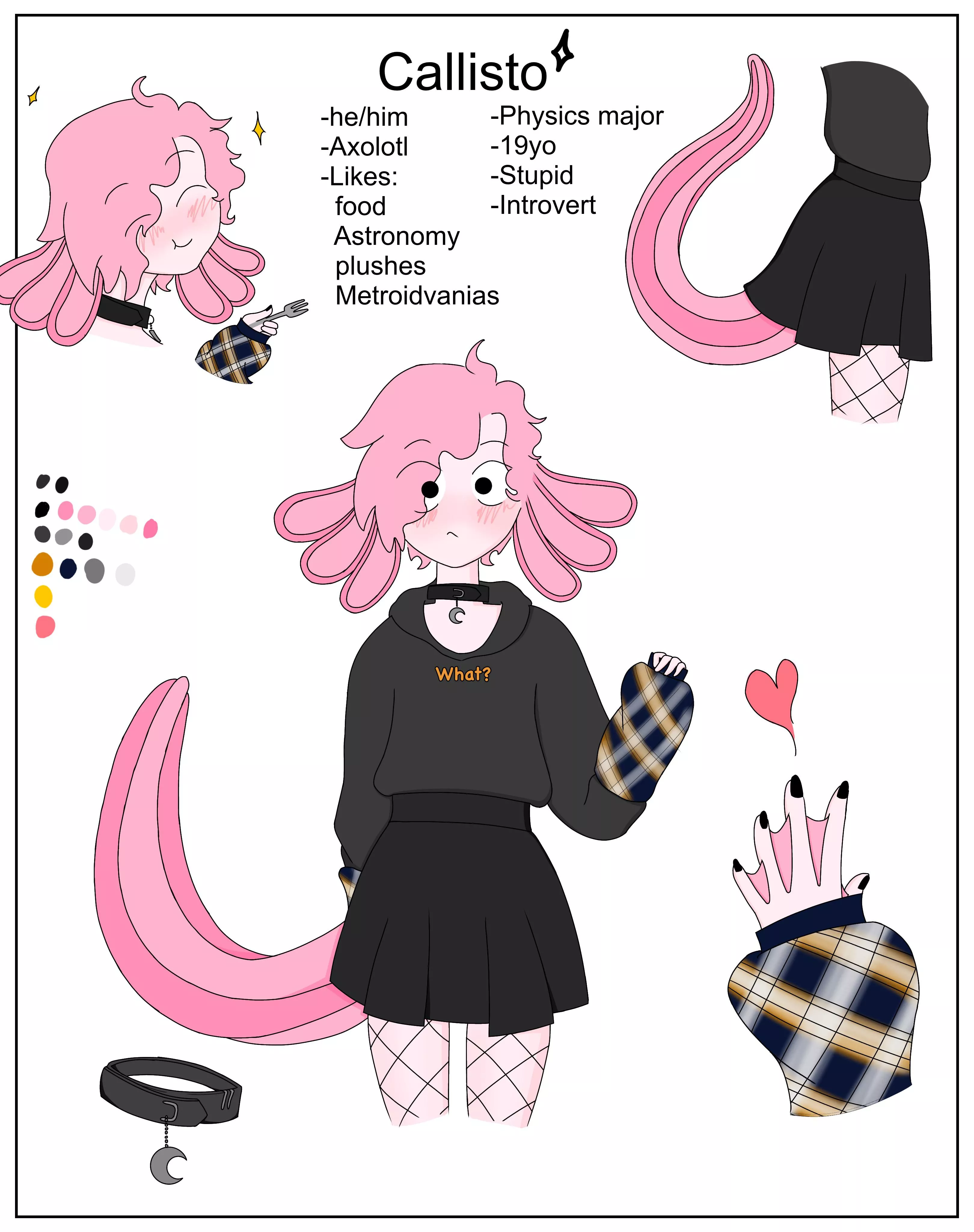 My self fursona. Callisto the Axolotl. Art by me