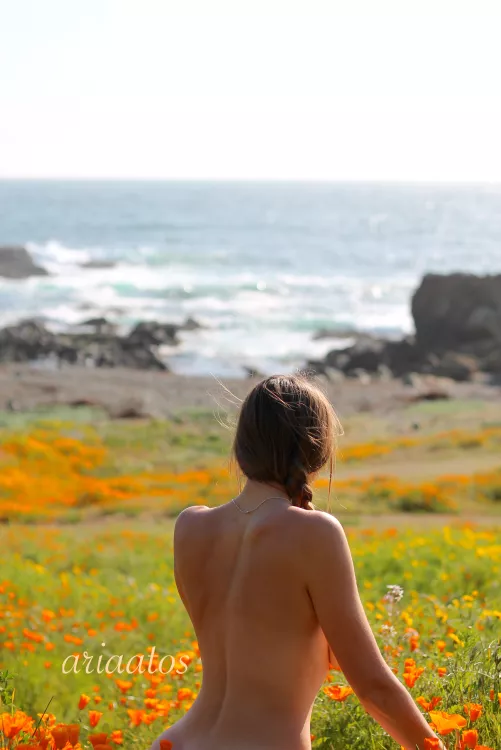 Naked in the wildflowers