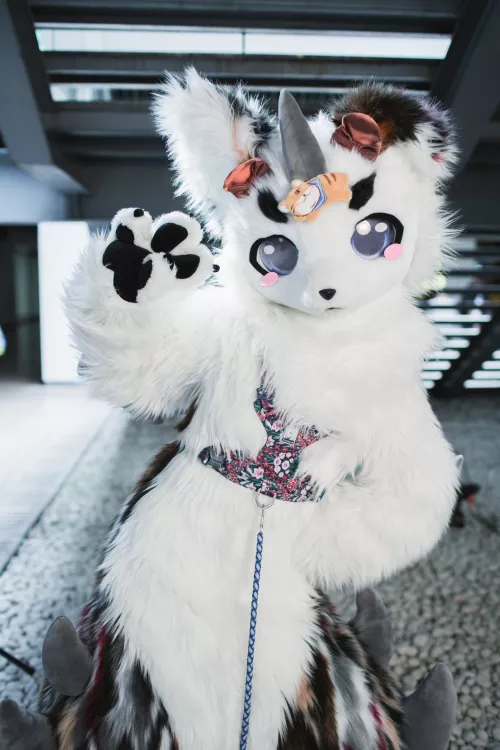 @nowus_long on Twitter