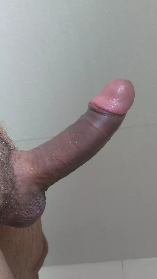 Rate me if you would like to use my cock