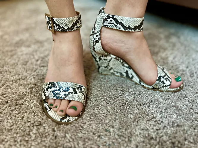 Ready for a night out 🐍