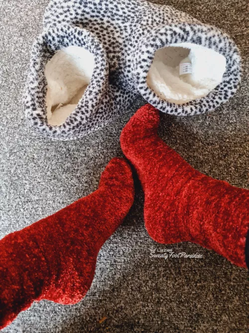 Red is definitely the color of December 😏🎄 (Selling)