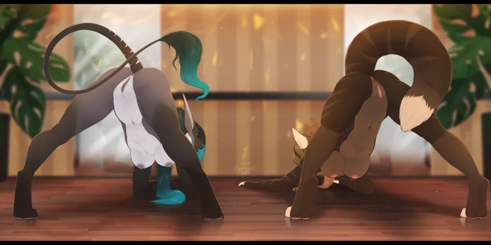 Stretching Lesson [FF] (DaFka)