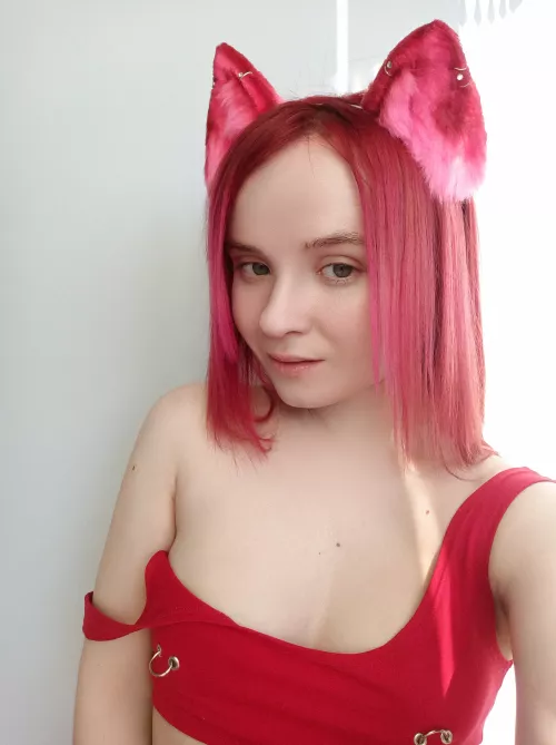 Sweet flirtations from your kitty 🐾