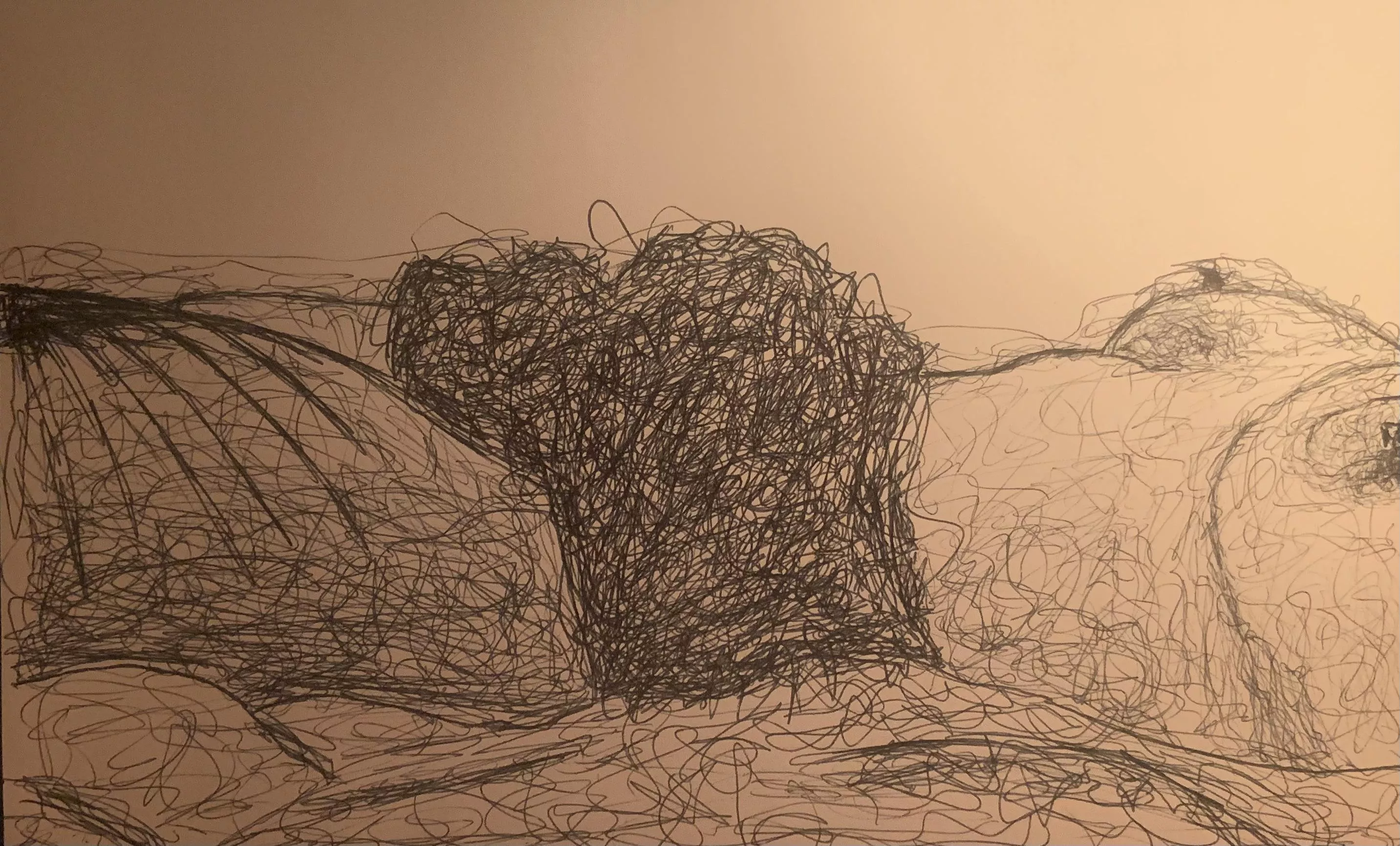 The many talents of Reddit a wonderful surprise picture drawn by Incognitoactivities