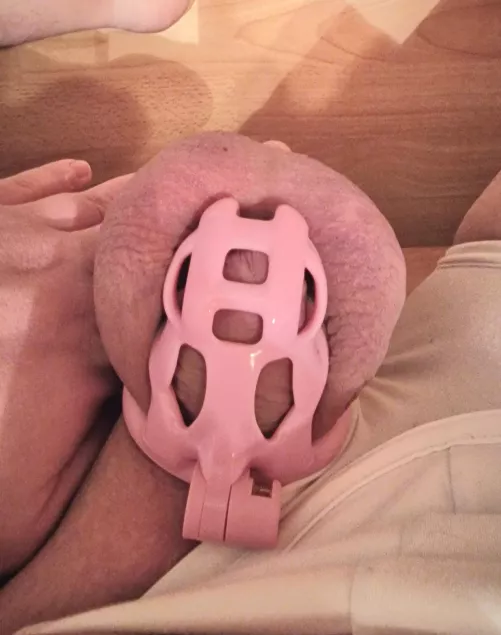 today was teasing day and I was so happy to get unlocked...didn't know that it was just to switch from a size m to a size s cage...my mistress is cruel 🙈 week 5/9 completed