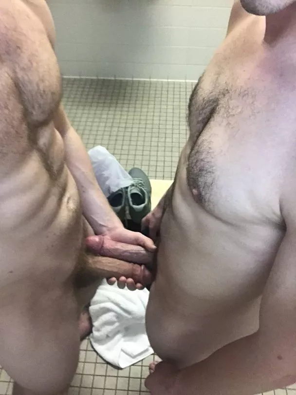 Two Cocks