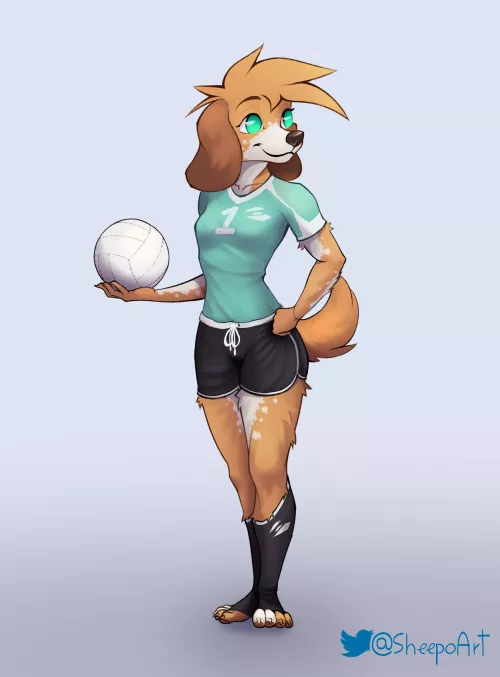 Volleyball! (art by me)