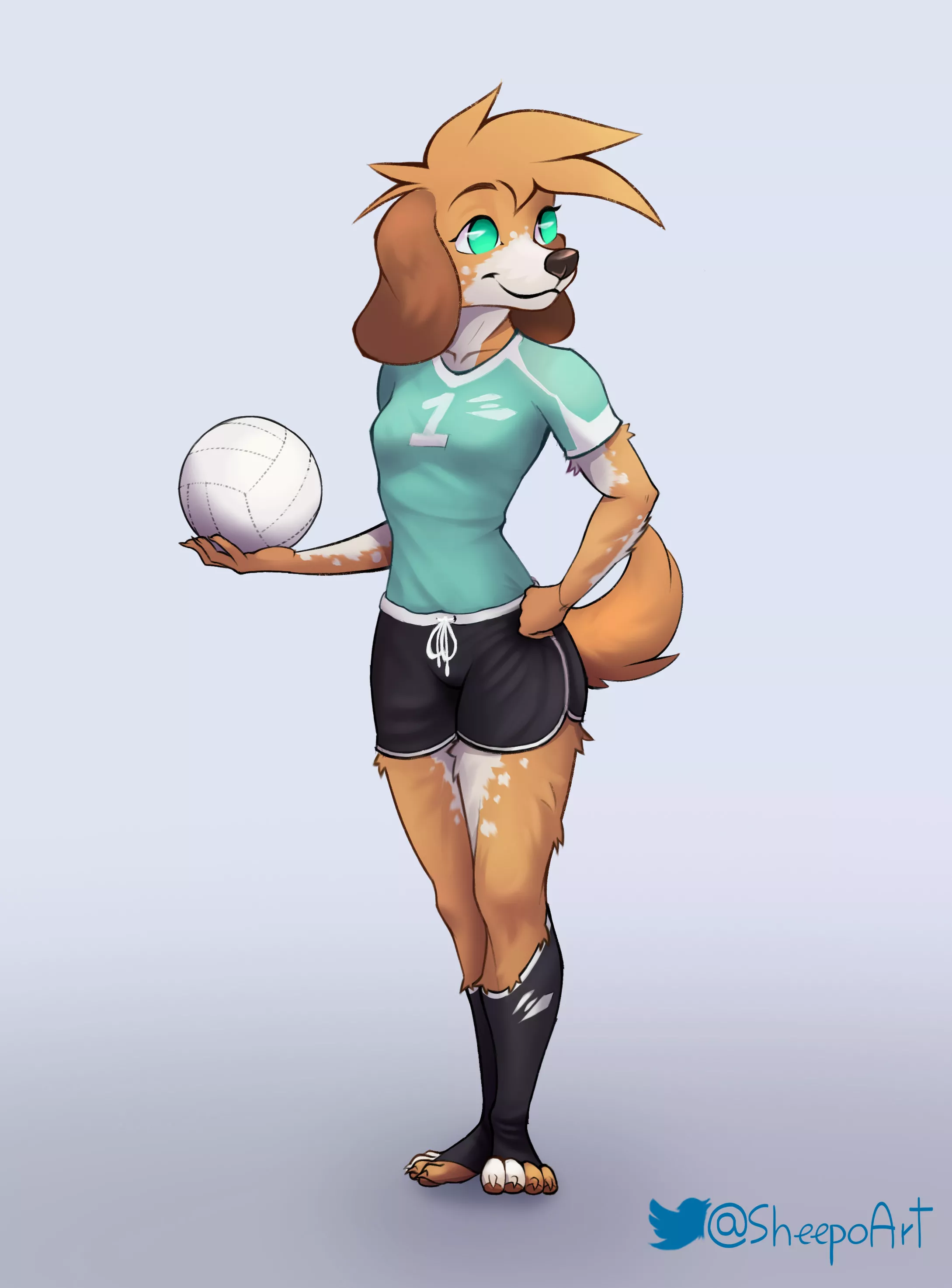 Volleyball! (art by me)