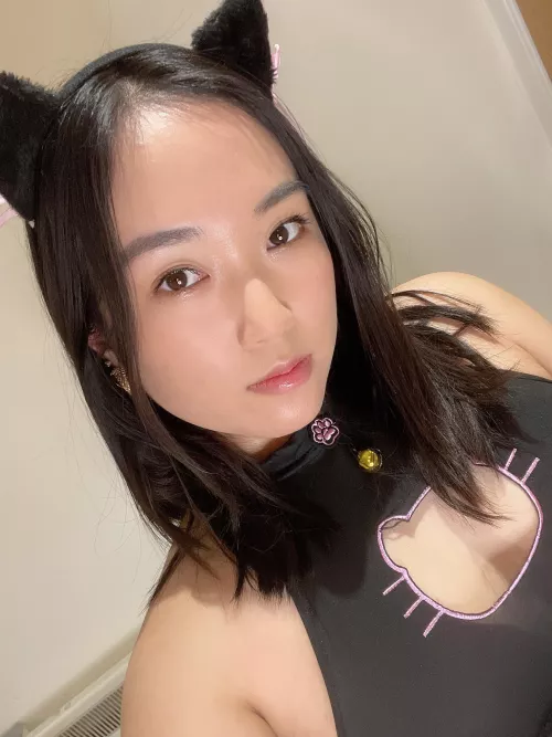 What do you think of this Asian kitty? 😜