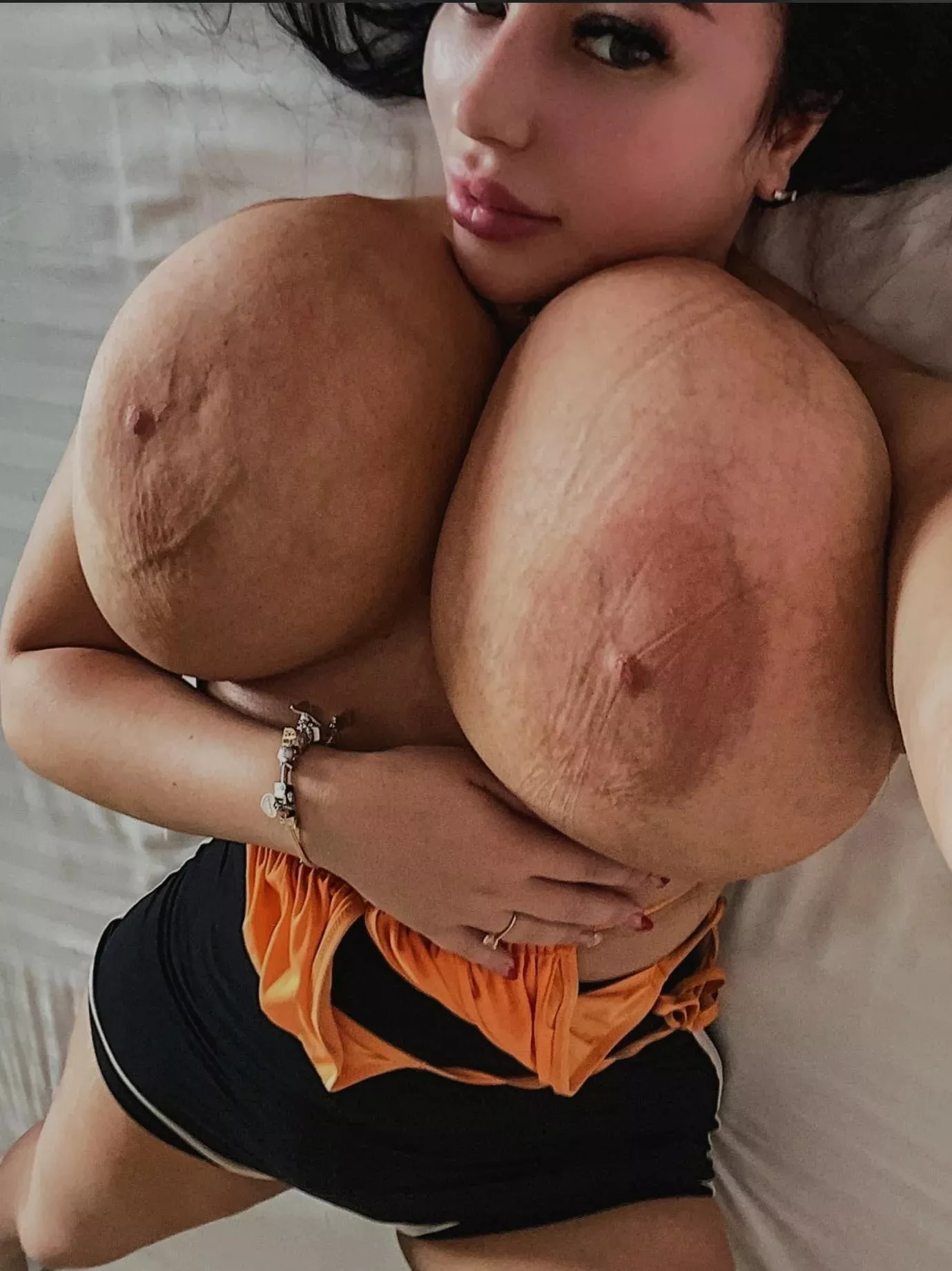 what they are all judged against