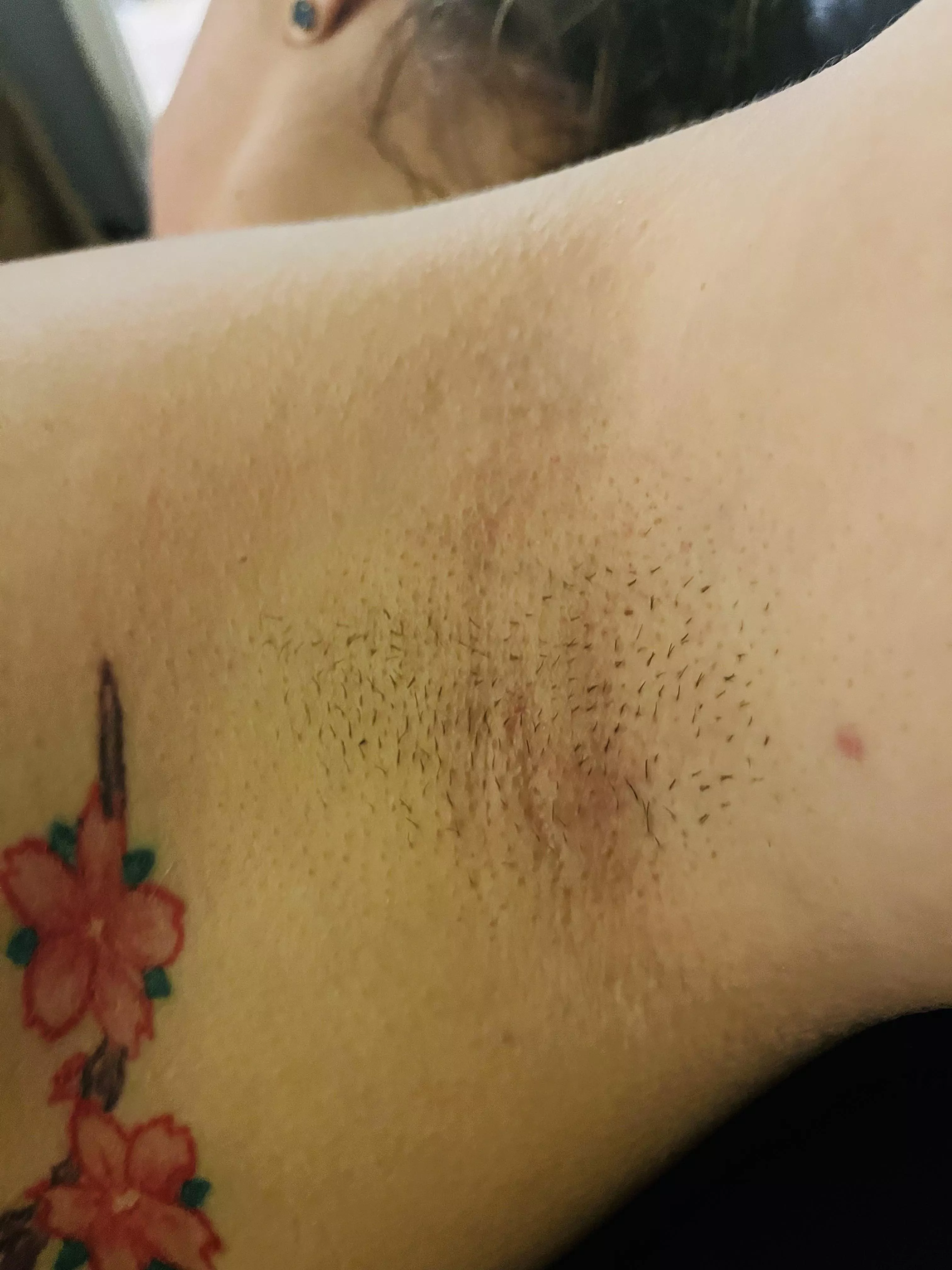 Who likes cherry blossoms?