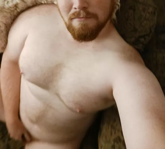 Your view right before you cum in my beard 💦👅