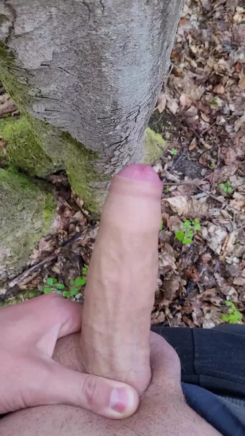 another nice day to take it out. If you want to know stories of me jerking off outdoor just pm me