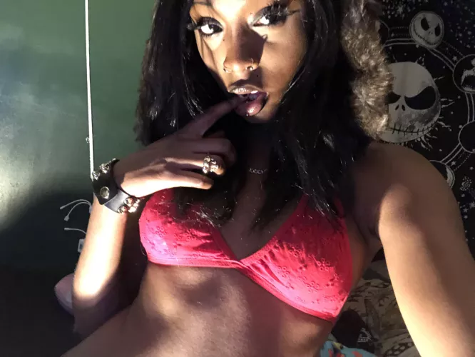 are you my good boy?