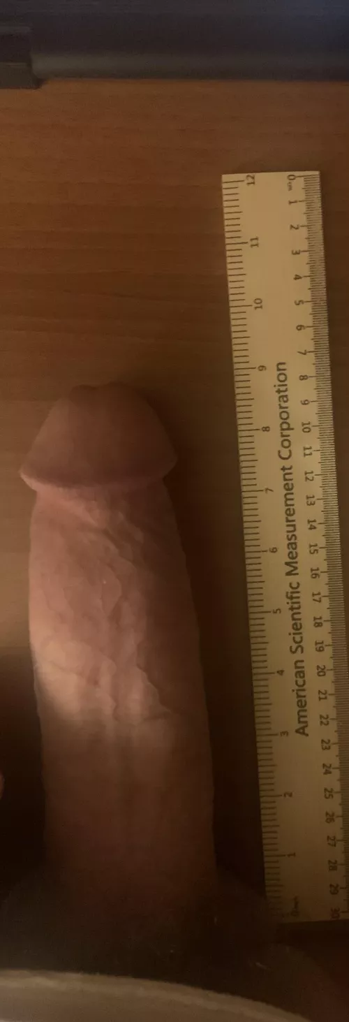 Big enough for your needs?