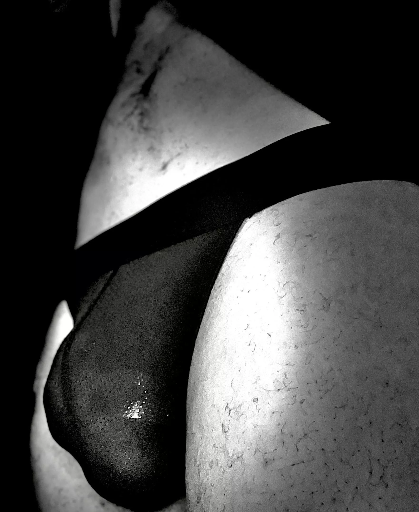 Black n White in Black ⭕️✨🐂😈