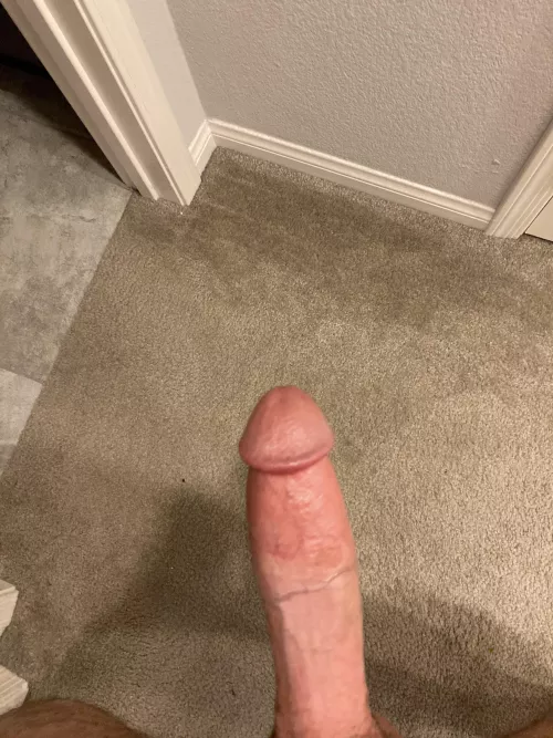 Breeding in Vegas for a few years now, loving it. HMU to discuss!