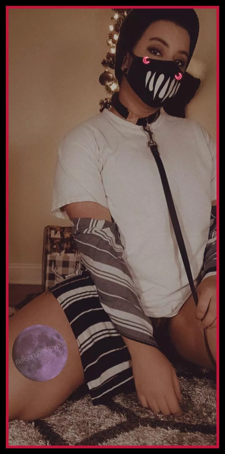 Collared bois are cute too right?