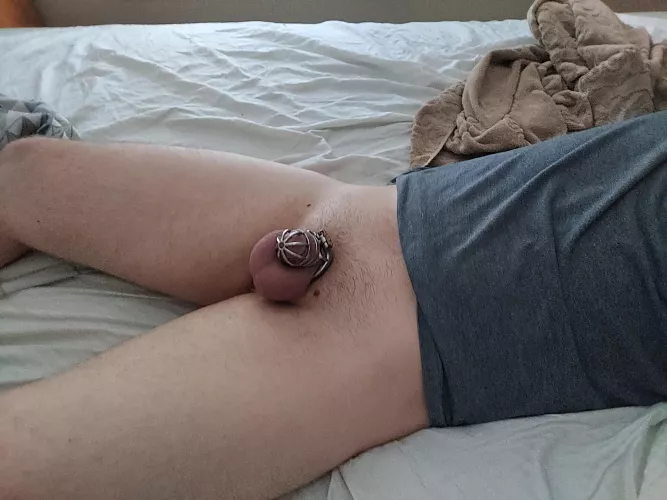Do you think my little locked cock is sexy?