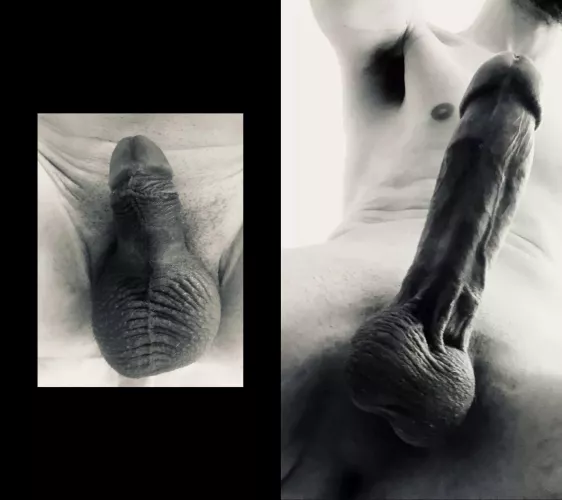 First they laugh, then they cry