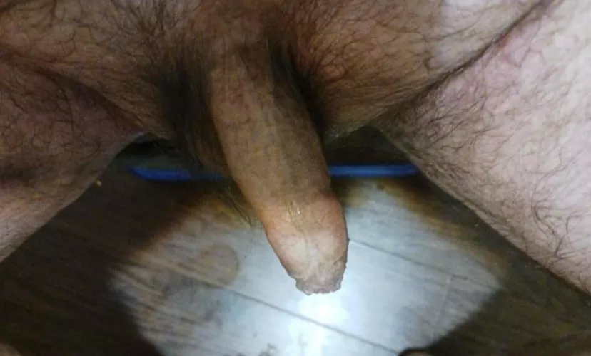 howd you like to suck my little dick