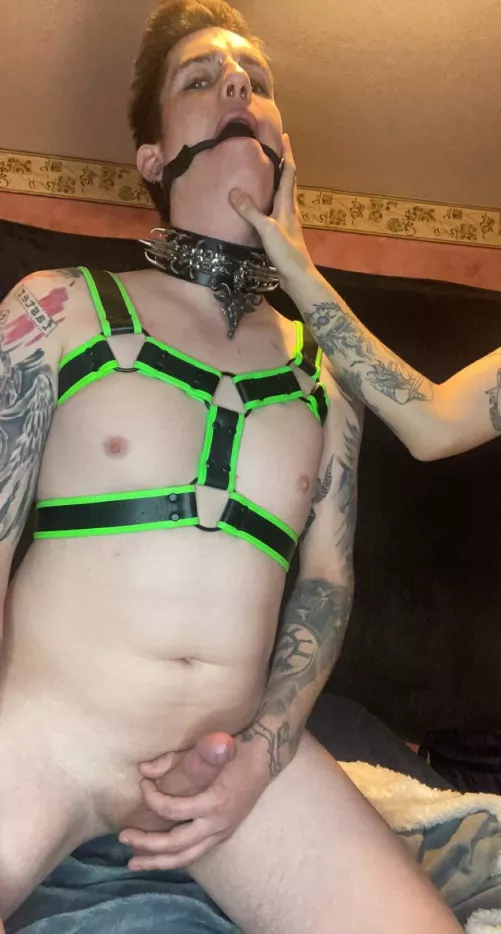 I love to be Gagged and Bound, what would you do to me if I was your slave? 🤤💦