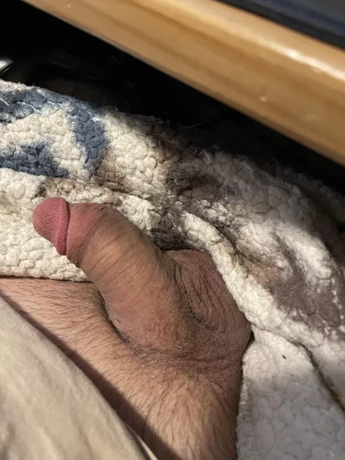 Just my flaccid cock hanging out