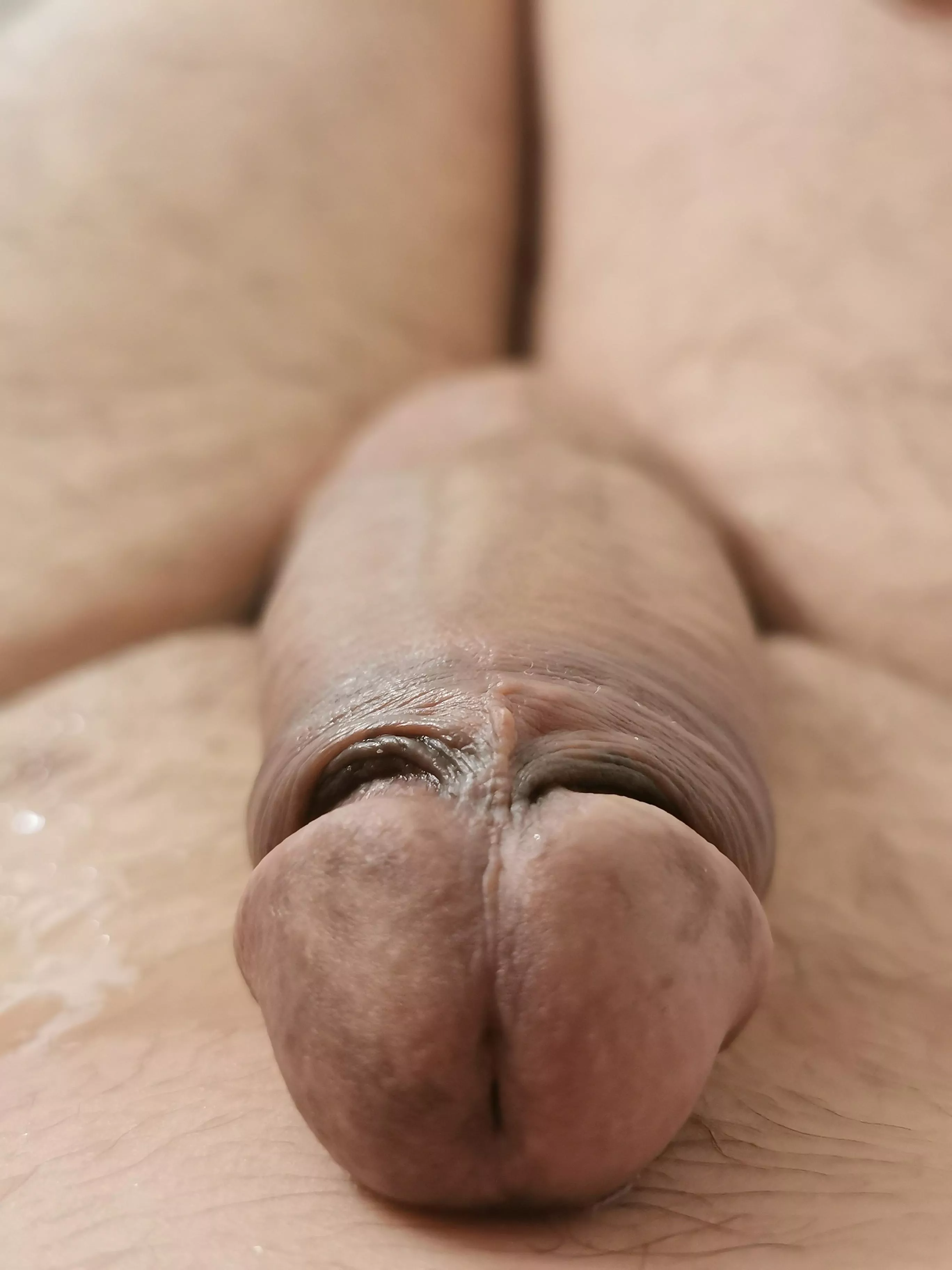 [M45] When did you play with your first cock? DM me with details to chat.