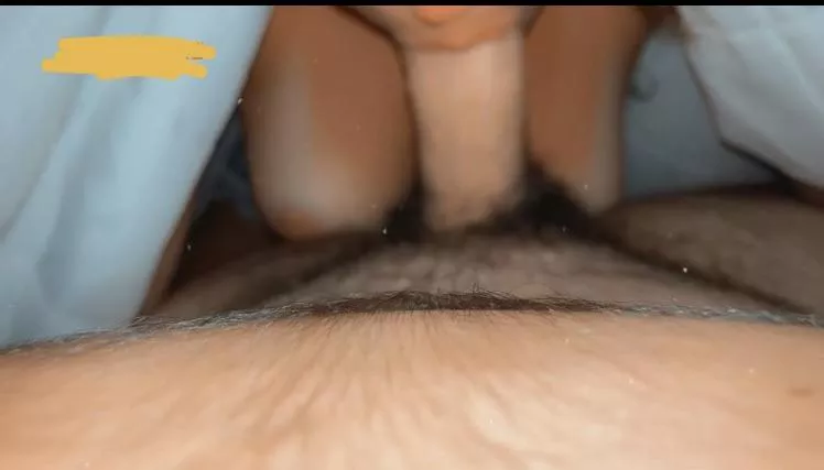 My favorite part of being a bull is meeting hotwives (: