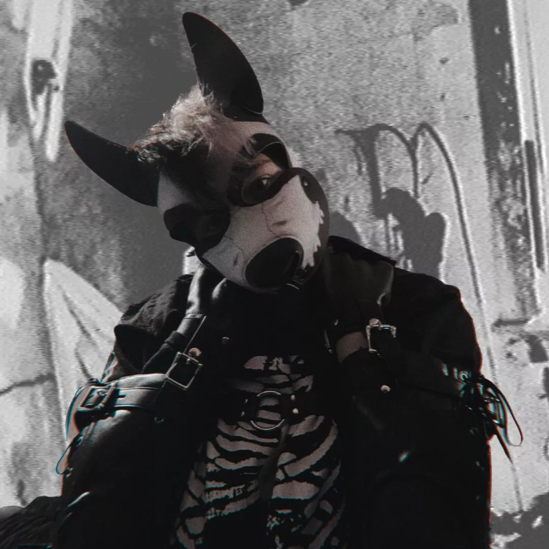 puppy got new arm restraints