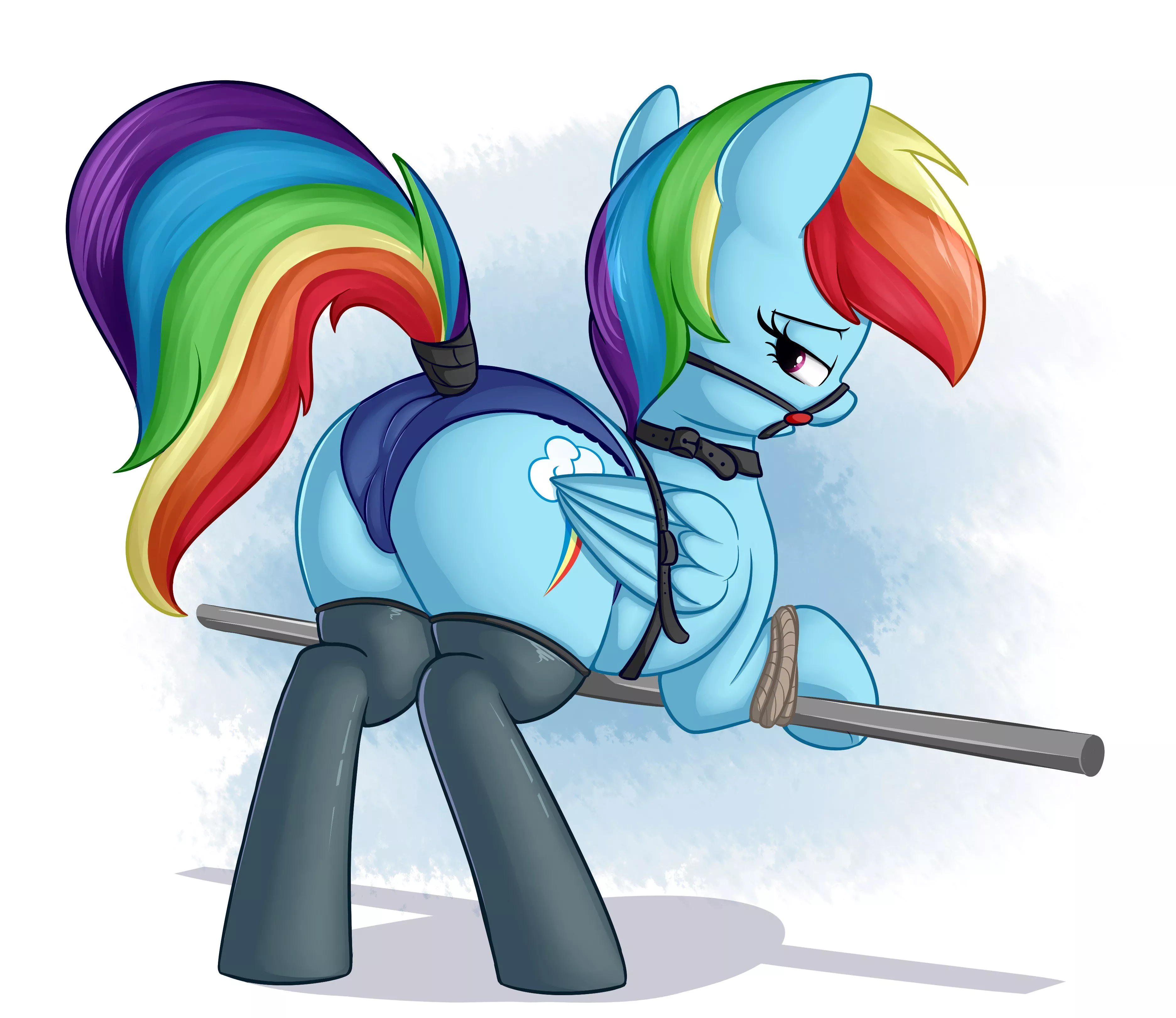 Rainbow Dash tied up (by andelai)