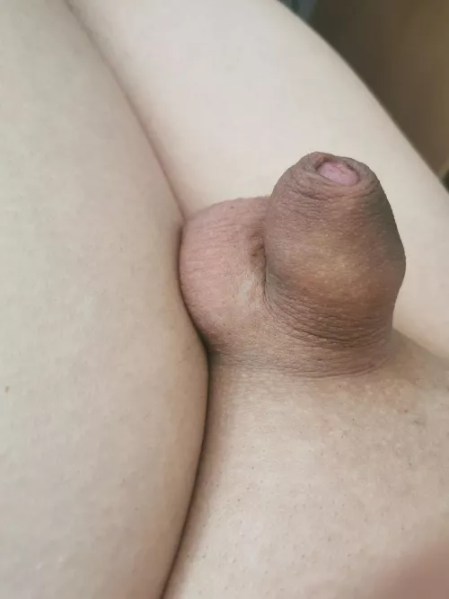 Some are big, some are small, mine is pretty cute I think [32]