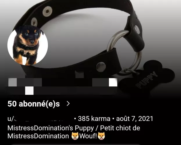 When you find the perfect puppy, and he change his bio without you asked it before 😌