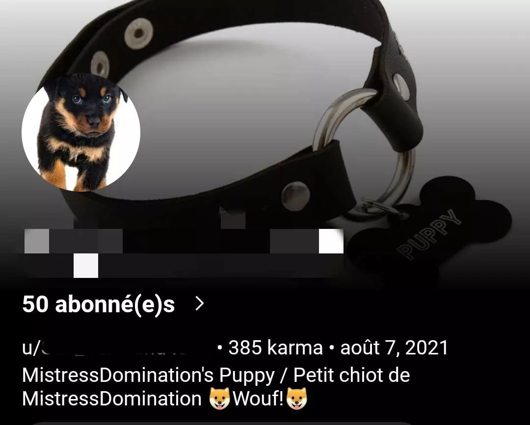 When you find the perfect puppy, and he change his bio without you asked it before 😌