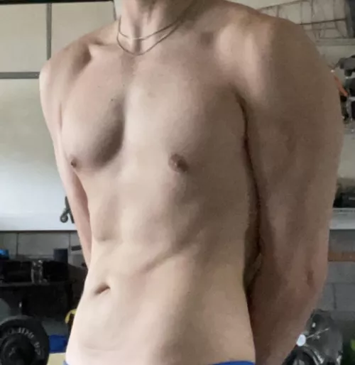 Young athletic bull in the Nashville area