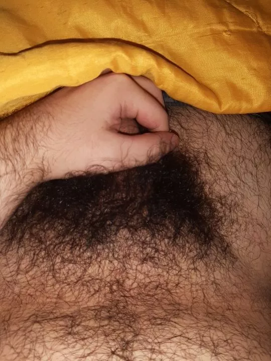 [19] trimm the pubes? Why would i do that?