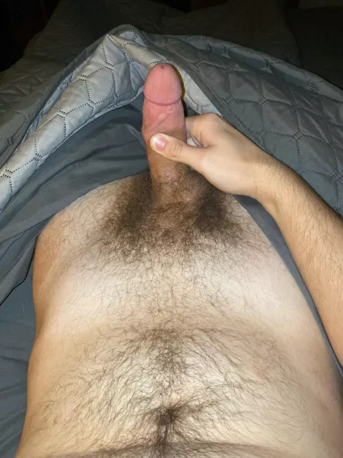 A little more than pubes… Hmu hairy guys, Let’s chat!