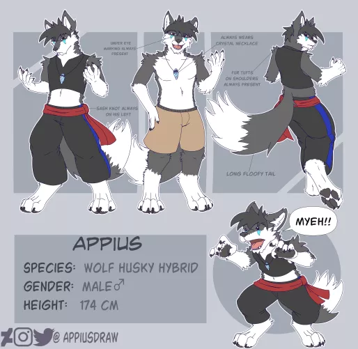 Appius Reference Sheet (art by Me)
