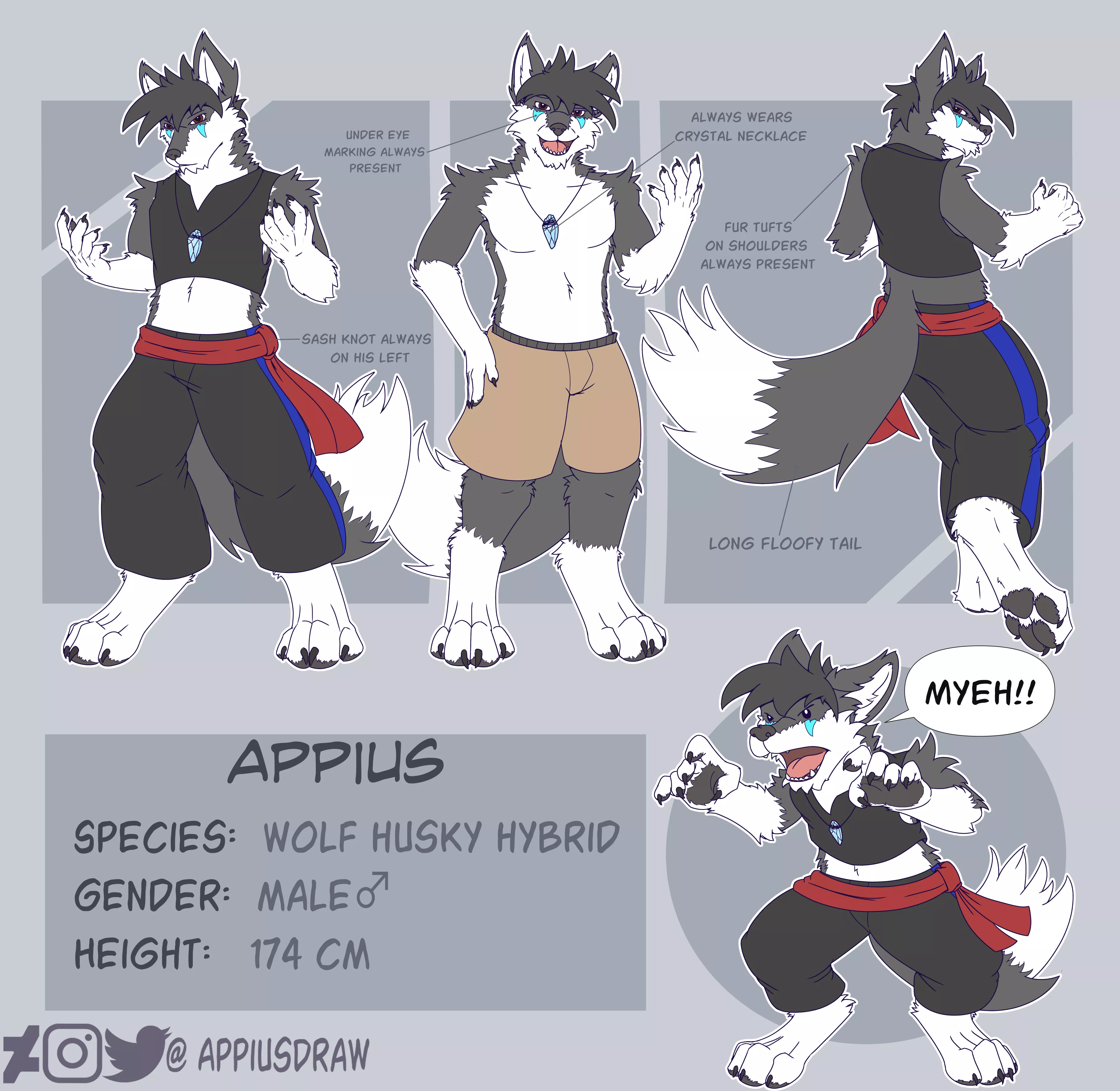 Appius Reference Sheet (art by Me)
