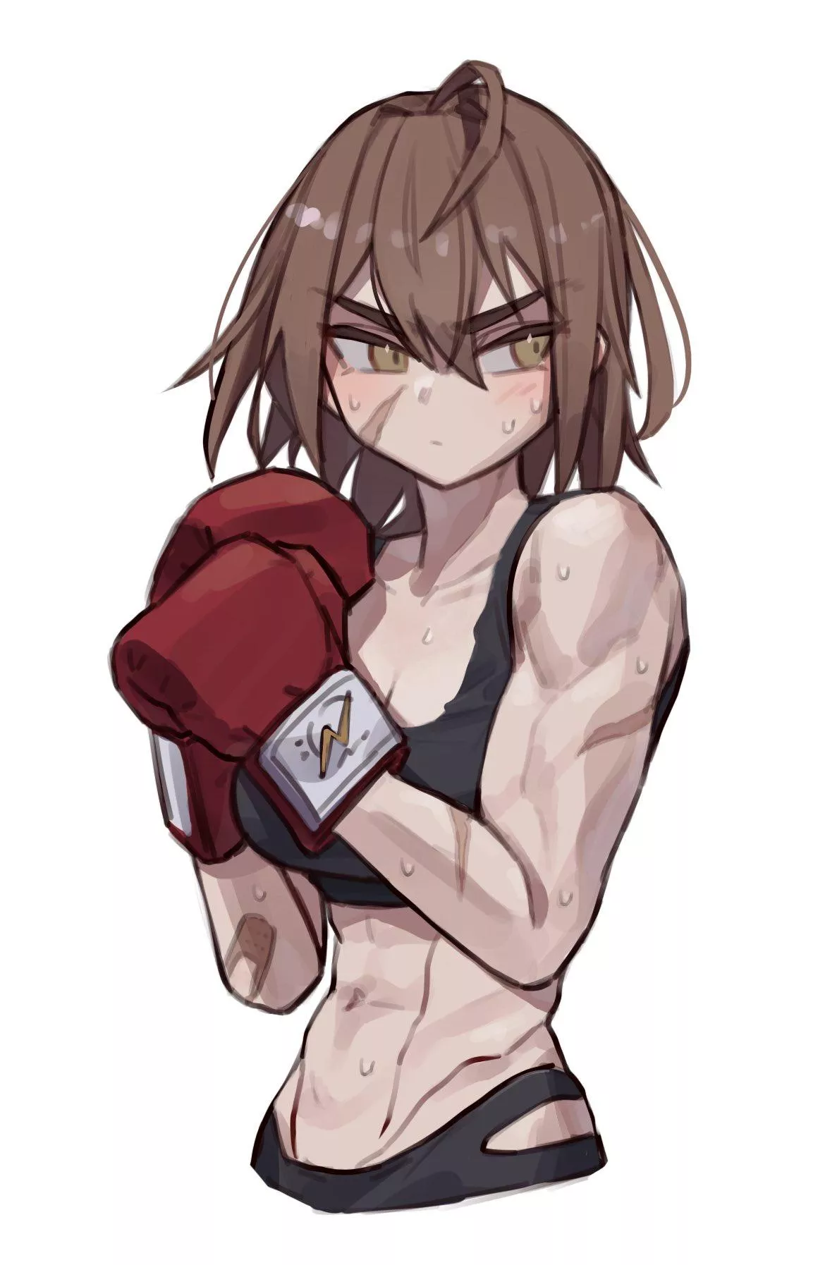 Bashful Boxer (@nikomicapchi)