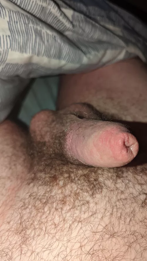 Can you please rub it and make it bigger? DM open
