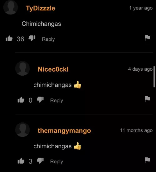 chimichangas 👍