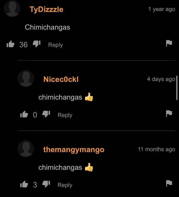 chimichangas 👍