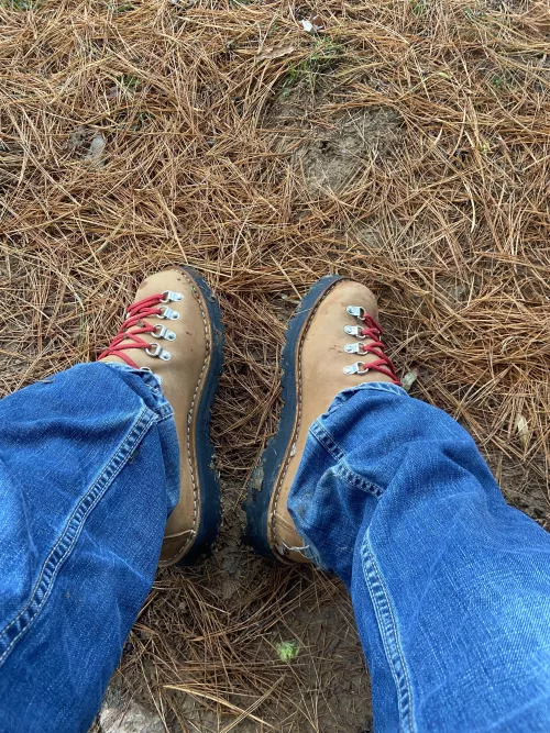 Danner lights at the dog park this morning!