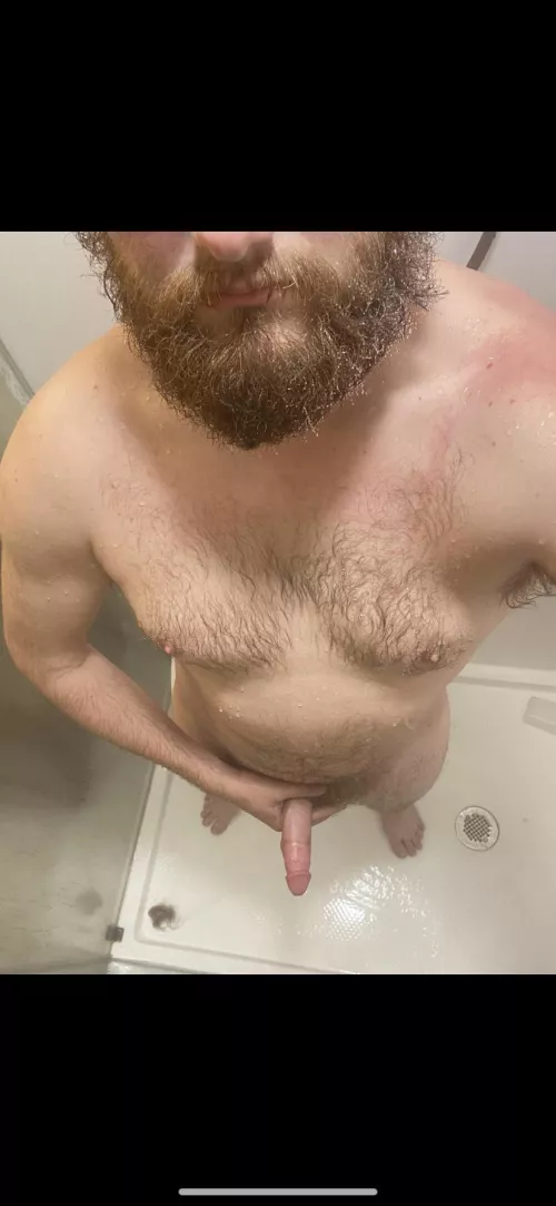 Do I fit the bill? Feed back always welcome!