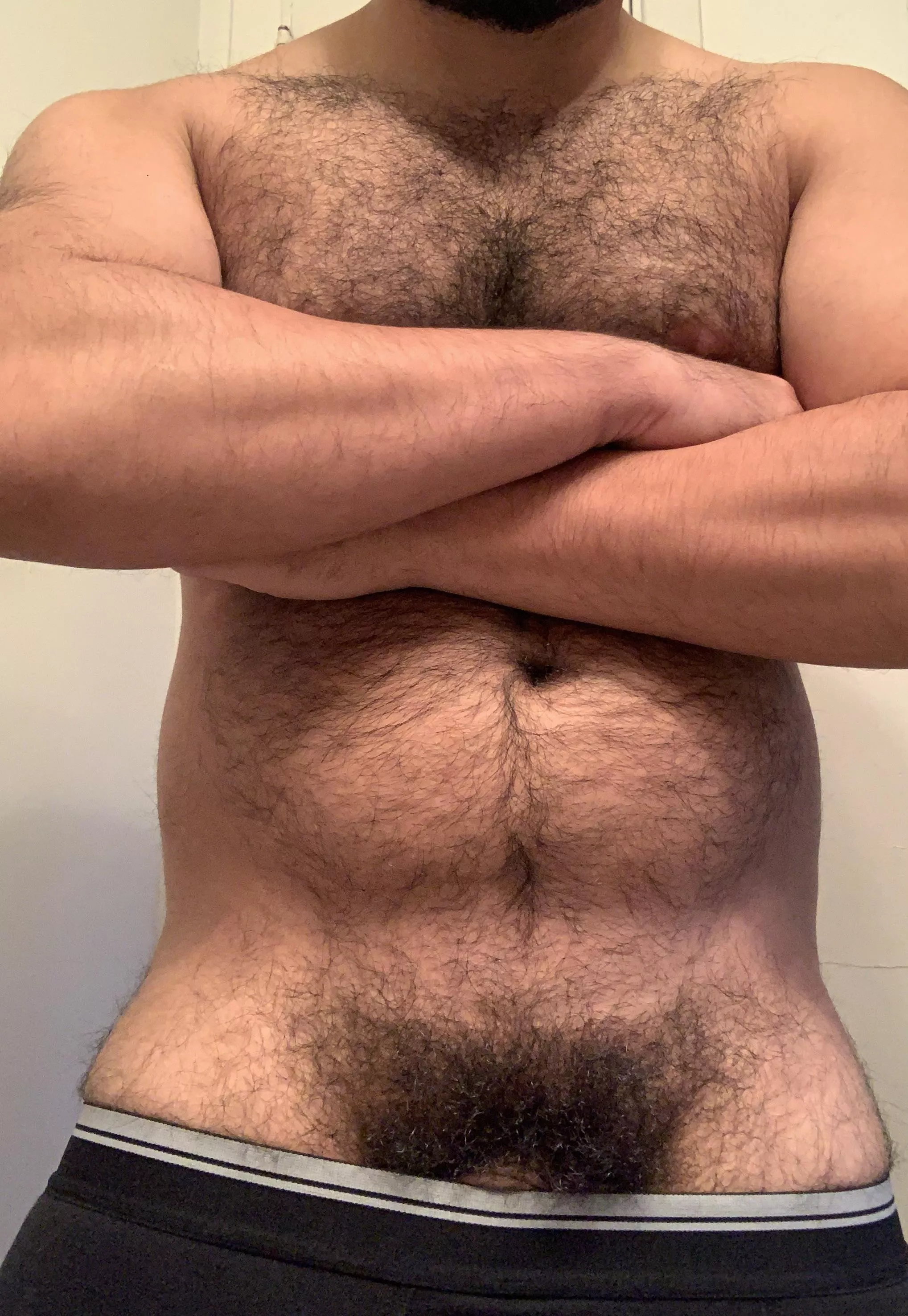 Do I qualify as a bear?